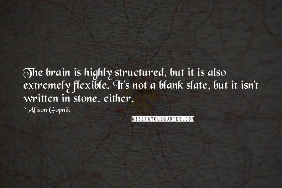 Alison Gopnik Quotes: The brain is highly structured, but it is also extremely flexible. It's not a blank slate, but it isn't written in stone, either.