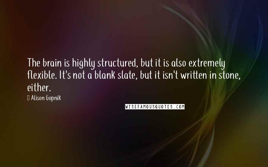 Alison Gopnik Quotes: The brain is highly structured, but it is also extremely flexible. It's not a blank slate, but it isn't written in stone, either.