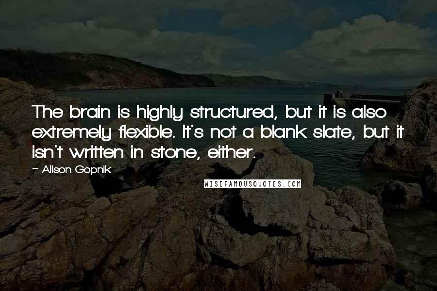 Alison Gopnik Quotes: The brain is highly structured, but it is also extremely flexible. It's not a blank slate, but it isn't written in stone, either.