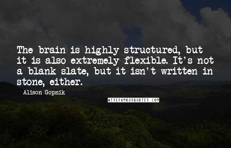 Alison Gopnik Quotes: The brain is highly structured, but it is also extremely flexible. It's not a blank slate, but it isn't written in stone, either.