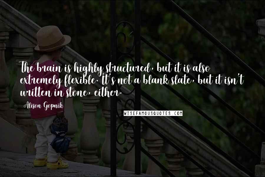 Alison Gopnik Quotes: The brain is highly structured, but it is also extremely flexible. It's not a blank slate, but it isn't written in stone, either.