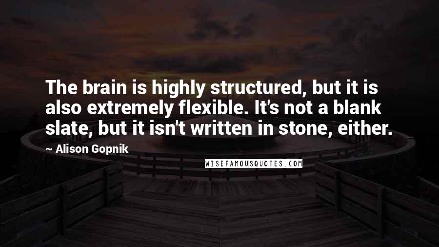 Alison Gopnik Quotes: The brain is highly structured, but it is also extremely flexible. It's not a blank slate, but it isn't written in stone, either.