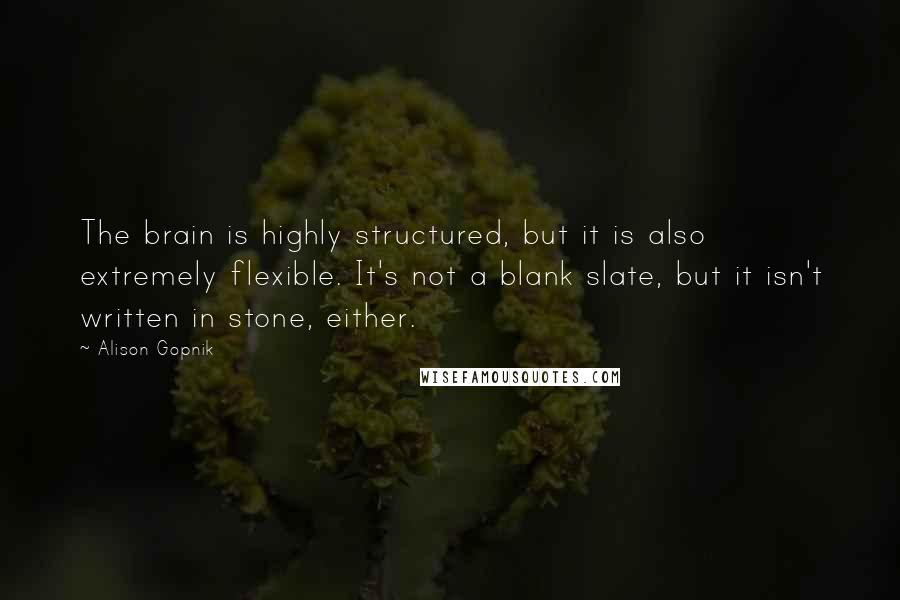 Alison Gopnik Quotes: The brain is highly structured, but it is also extremely flexible. It's not a blank slate, but it isn't written in stone, either.