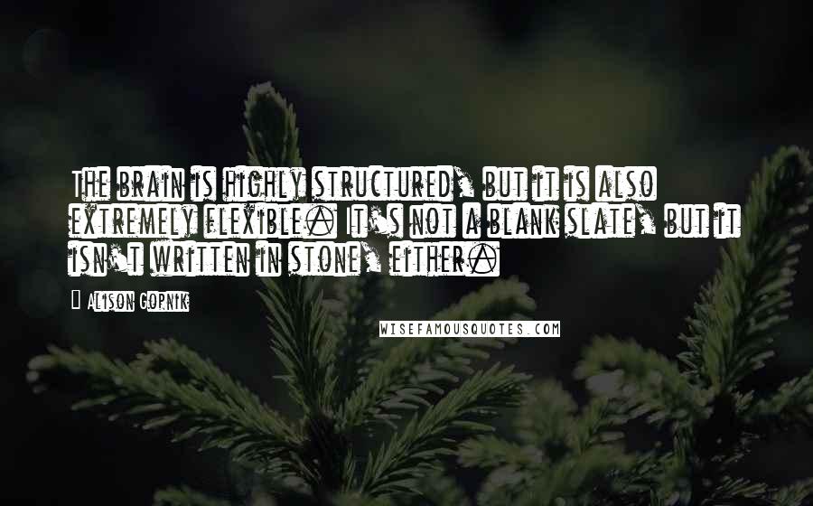 Alison Gopnik Quotes: The brain is highly structured, but it is also extremely flexible. It's not a blank slate, but it isn't written in stone, either.