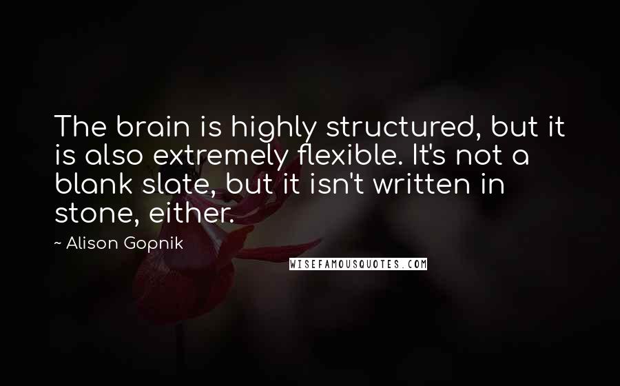 Alison Gopnik Quotes: The brain is highly structured, but it is also extremely flexible. It's not a blank slate, but it isn't written in stone, either.