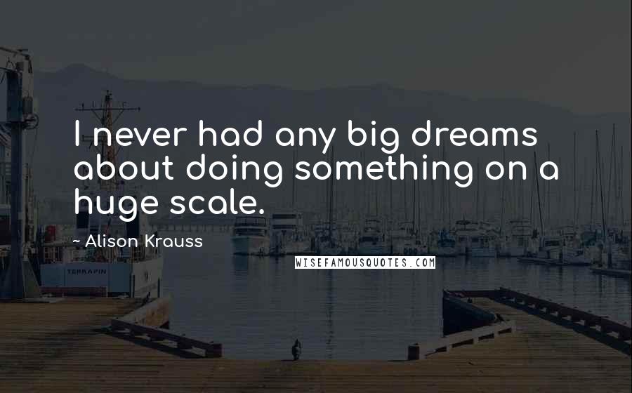 Alison Krauss Quotes: I never had any big dreams about doing something on a huge scale.