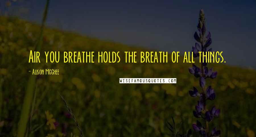 Alison McGhee Quotes: Air you breathe holds the breath of all things.