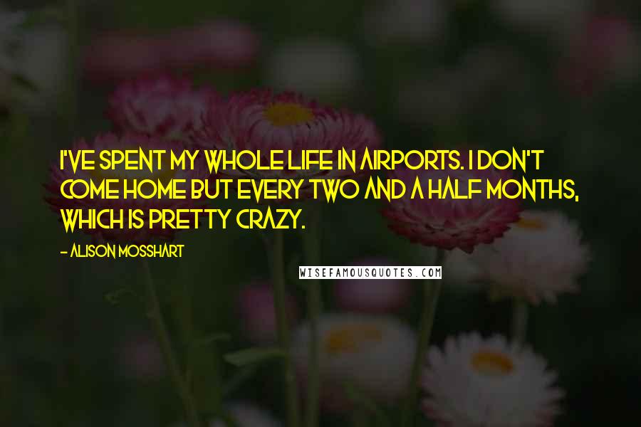 Alison Mosshart Quotes: I've spent my whole life in airports. I don't come home but every two and a half months, which is pretty crazy.