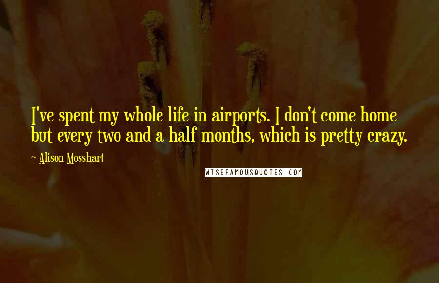 Alison Mosshart Quotes: I've spent my whole life in airports. I don't come home but every two and a half months, which is pretty crazy.
