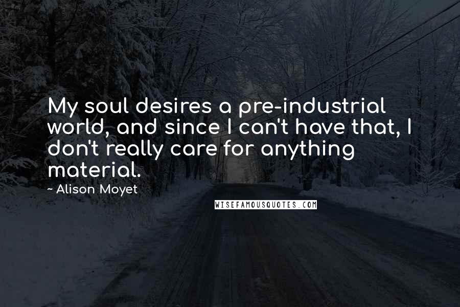 Alison Moyet Quotes: My soul desires a pre-industrial world, and since I can't have that, I don't really care for anything material.
