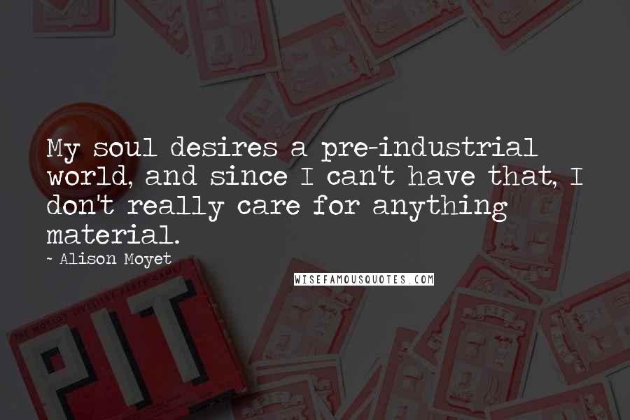 Alison Moyet Quotes: My soul desires a pre-industrial world, and since I can't have that, I don't really care for anything material.