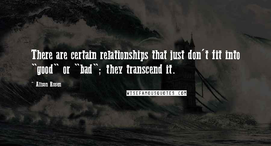 Alison Rosen Quotes: There are certain relationships that just don't fit into "good" or "bad"; they transcend it.