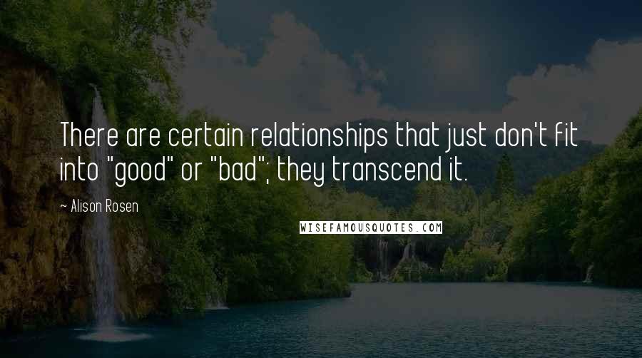 Alison Rosen Quotes: There are certain relationships that just don't fit into "good" or "bad"; they transcend it.