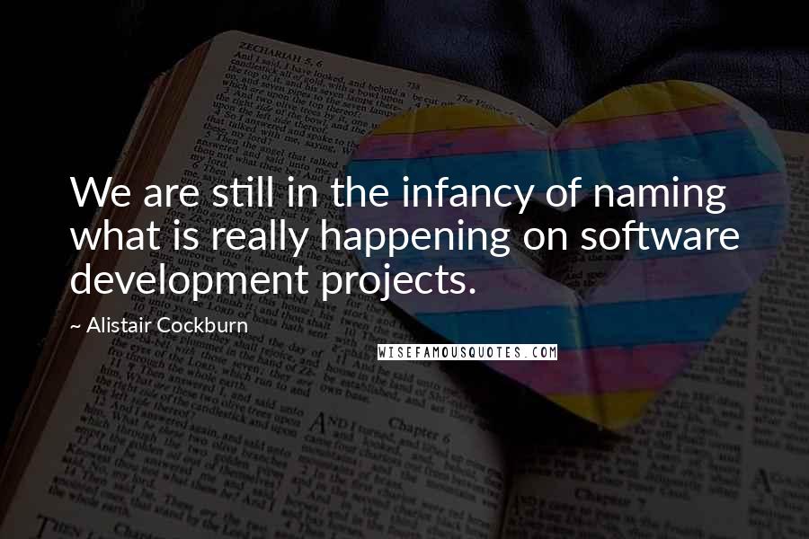 Alistair Cockburn Quotes: We are still in the infancy of naming what is really happening on software development projects.