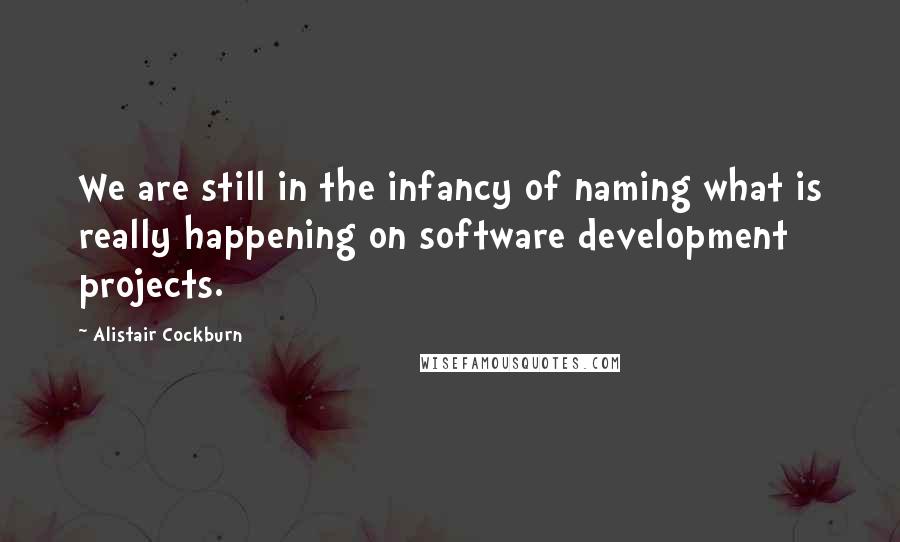 Alistair Cockburn Quotes: We are still in the infancy of naming what is really happening on software development projects.