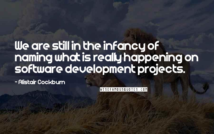 Alistair Cockburn Quotes: We are still in the infancy of naming what is really happening on software development projects.