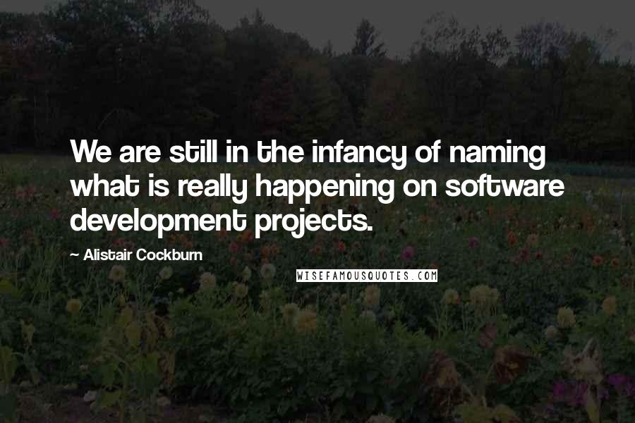 Alistair Cockburn Quotes: We are still in the infancy of naming what is really happening on software development projects.