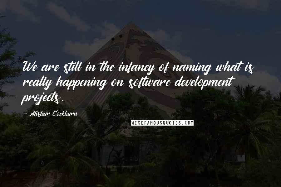 Alistair Cockburn Quotes: We are still in the infancy of naming what is really happening on software development projects.