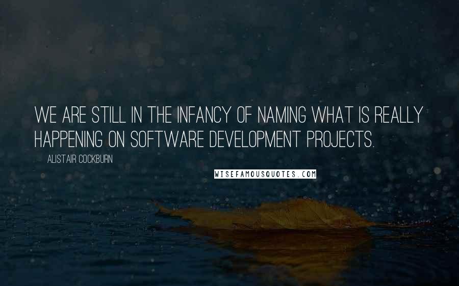 Alistair Cockburn Quotes: We are still in the infancy of naming what is really happening on software development projects.