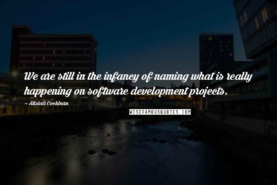 Alistair Cockburn Quotes: We are still in the infancy of naming what is really happening on software development projects.