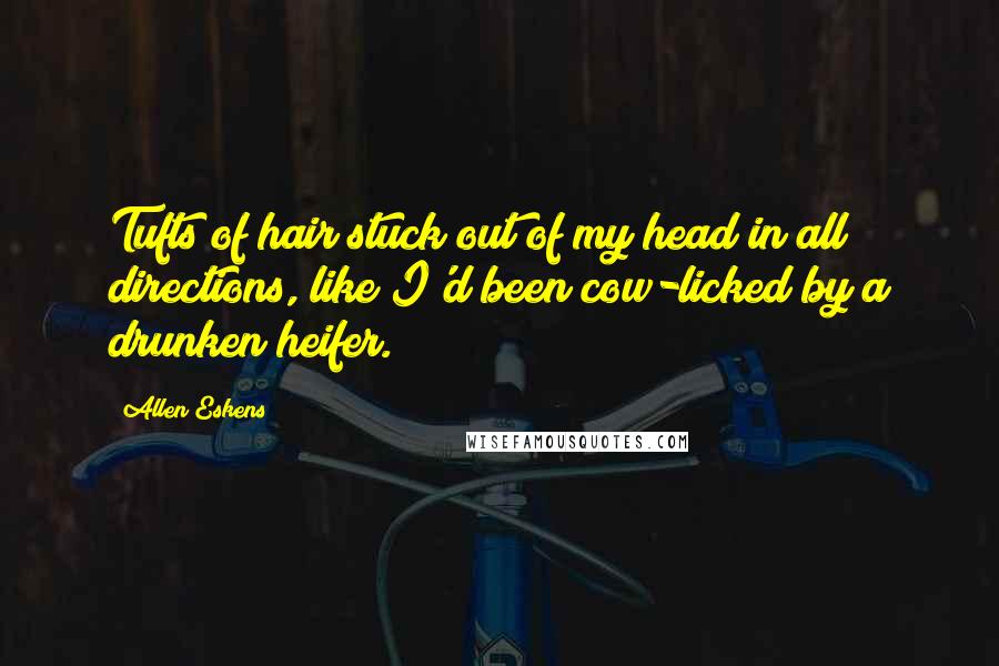 Allen Eskens Quotes: Tufts of hair stuck out of my head in all directions, like I'd been cow-licked by a drunken heifer.