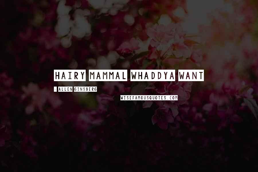 Allen Ginsberg Quotes: Hairy Mammal whaddya want