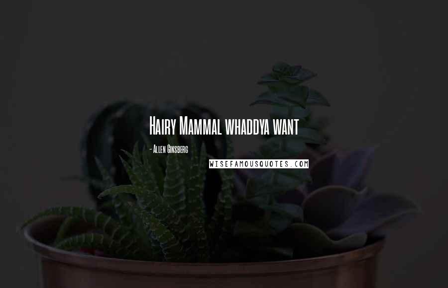 Allen Ginsberg Quotes: Hairy Mammal whaddya want