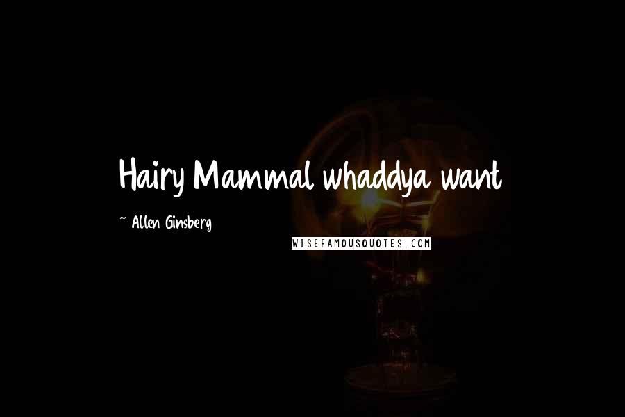 Allen Ginsberg Quotes: Hairy Mammal whaddya want