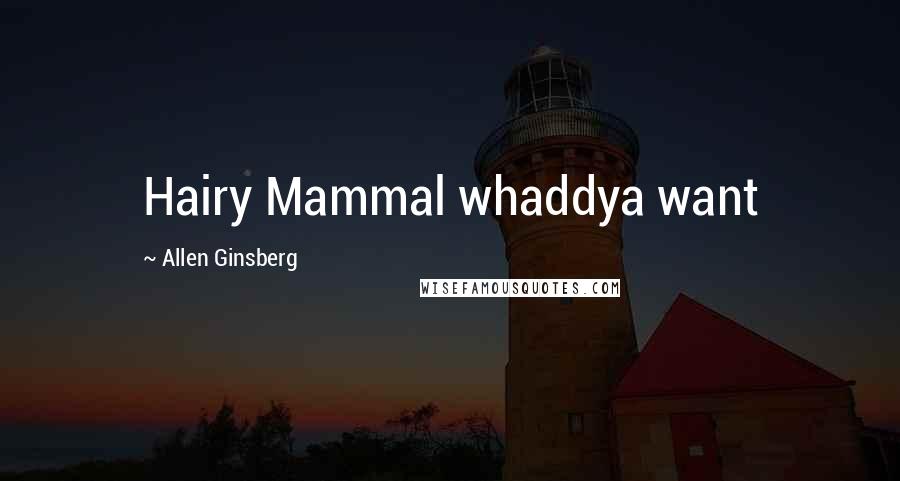 Allen Ginsberg Quotes: Hairy Mammal whaddya want
