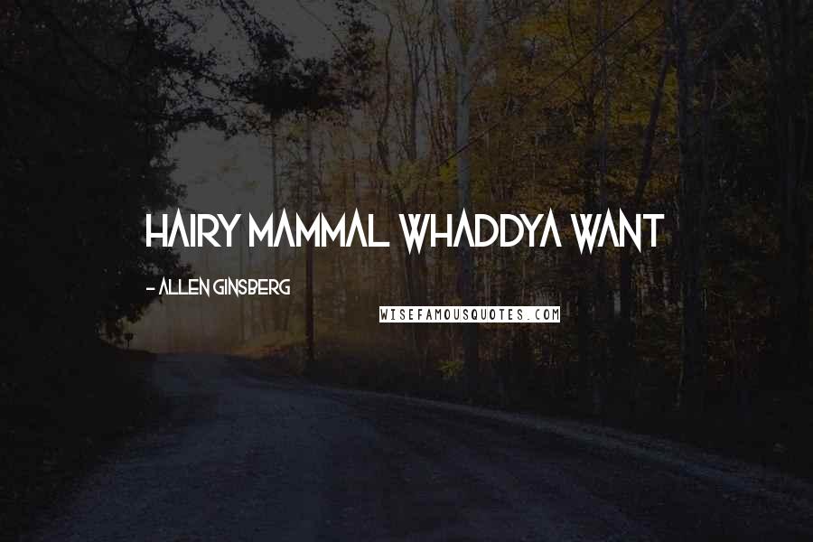 Allen Ginsberg Quotes: Hairy Mammal whaddya want