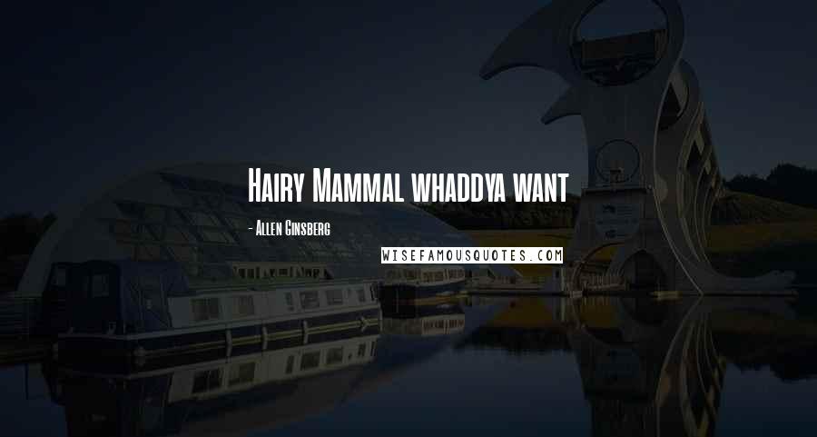 Allen Ginsberg Quotes: Hairy Mammal whaddya want