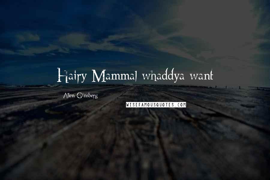 Allen Ginsberg Quotes: Hairy Mammal whaddya want