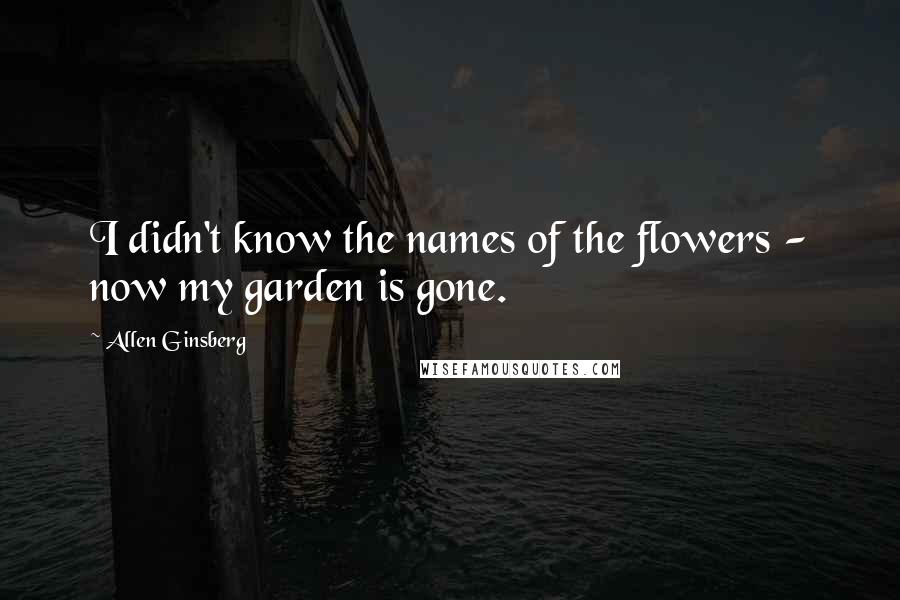 Allen Ginsberg Quotes: I didn't know the names of the flowers - now my garden is gone.