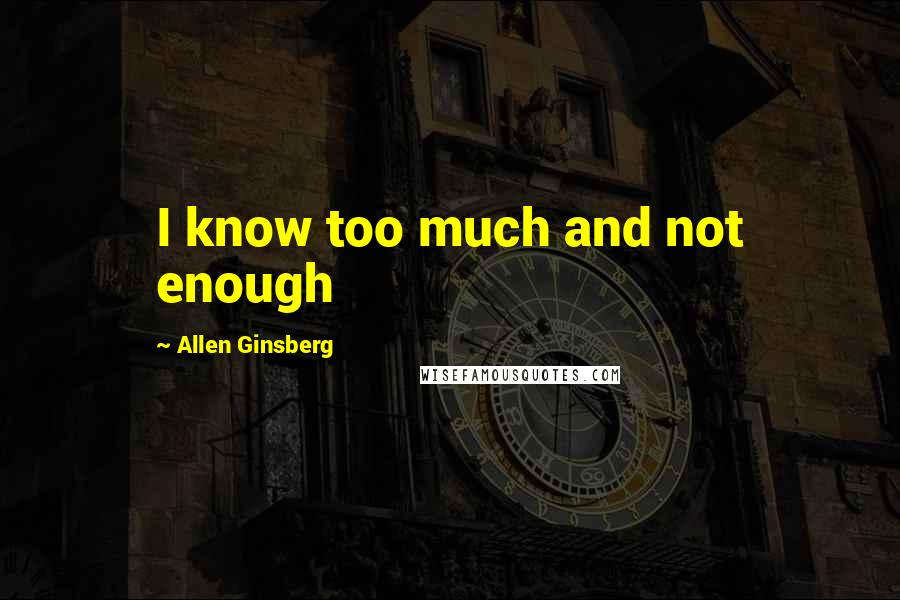 Allen Ginsberg Quotes: I know too much and not enough