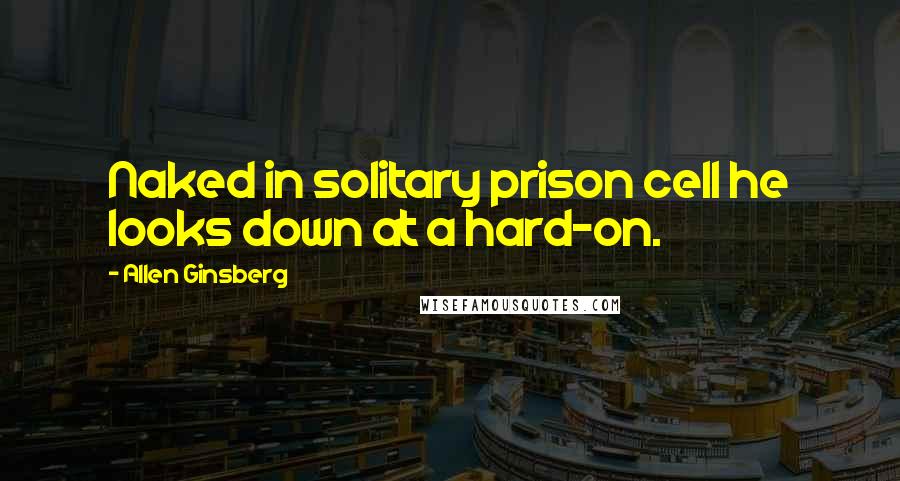 Allen Ginsberg Quotes: Naked in solitary prison cell he looks down at a hard-on.