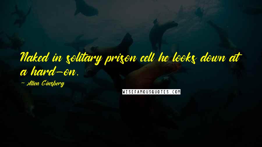 Allen Ginsberg Quotes: Naked in solitary prison cell he looks down at a hard-on.