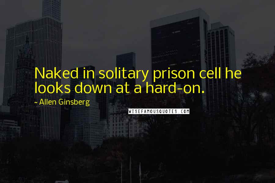 Allen Ginsberg Quotes: Naked in solitary prison cell he looks down at a hard-on.