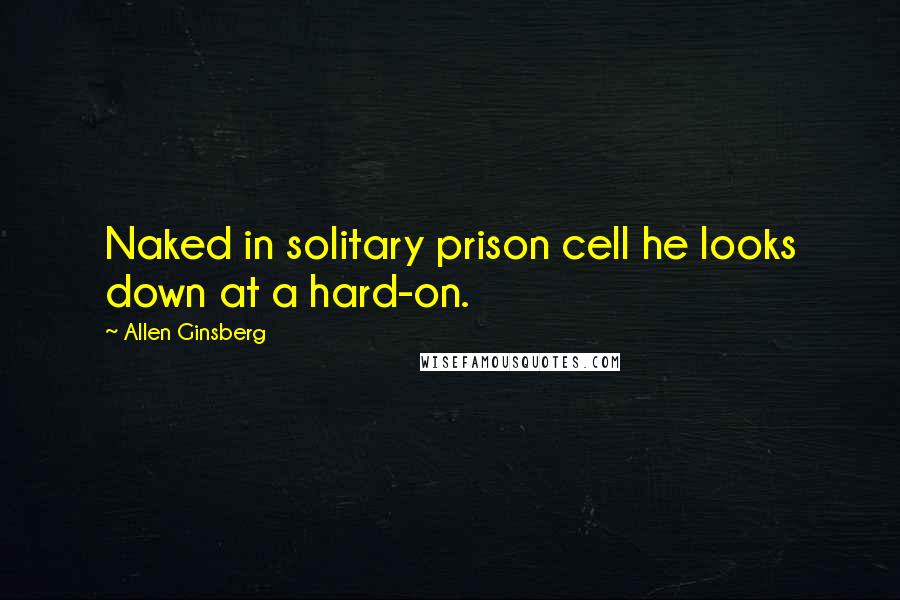 Allen Ginsberg Quotes: Naked in solitary prison cell he looks down at a hard-on.