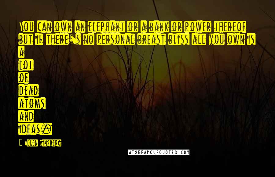 Allen Ginsberg Quotes: You can own an elephant or a bank or power thereof but if there's no personal breast bliss all you own is a lot of dead atoms and ideas.