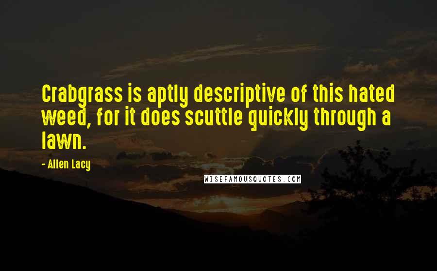 Allen Lacy Quotes: Crabgrass is aptly descriptive of this hated weed, for it does scuttle quickly through a lawn.