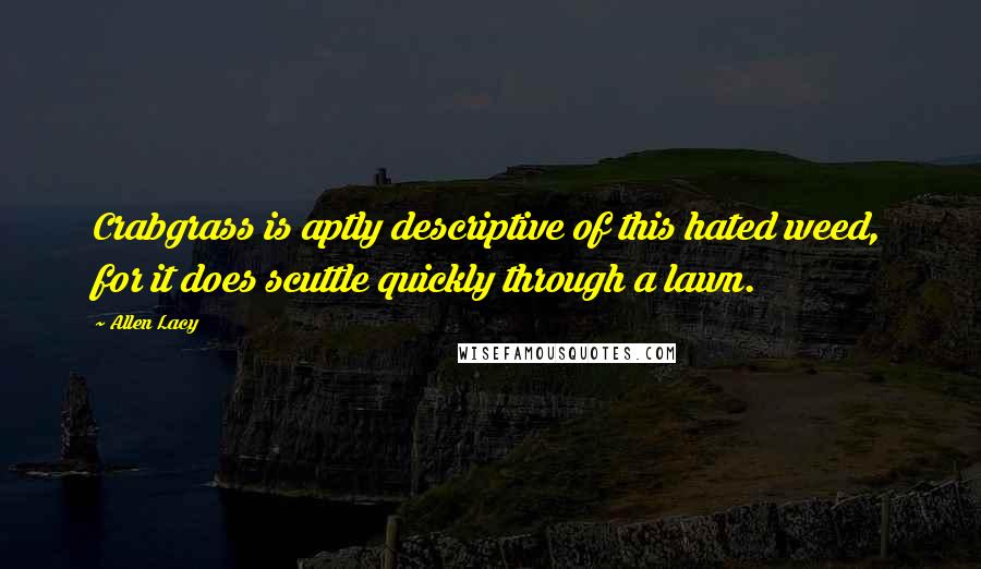 Allen Lacy Quotes: Crabgrass is aptly descriptive of this hated weed, for it does scuttle quickly through a lawn.