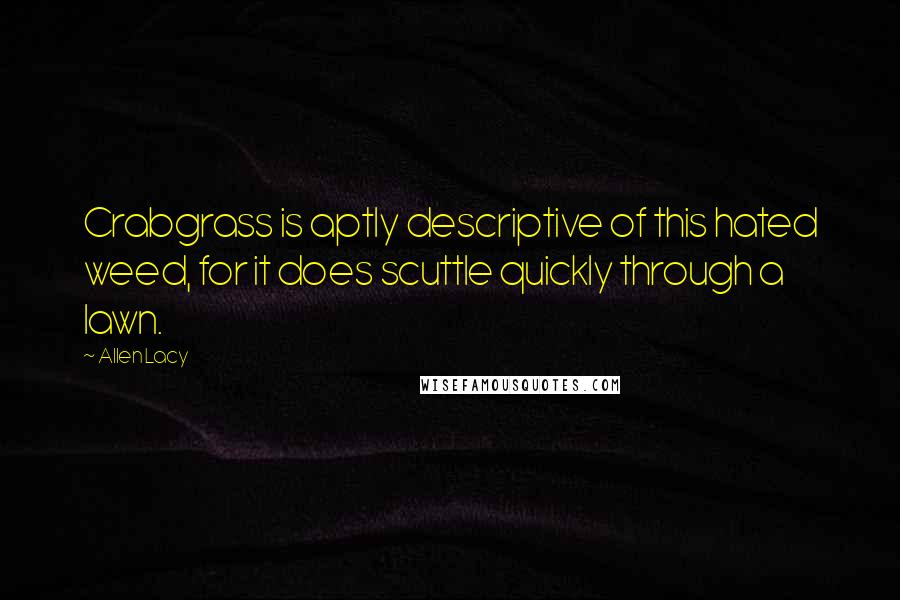 Allen Lacy Quotes: Crabgrass is aptly descriptive of this hated weed, for it does scuttle quickly through a lawn.