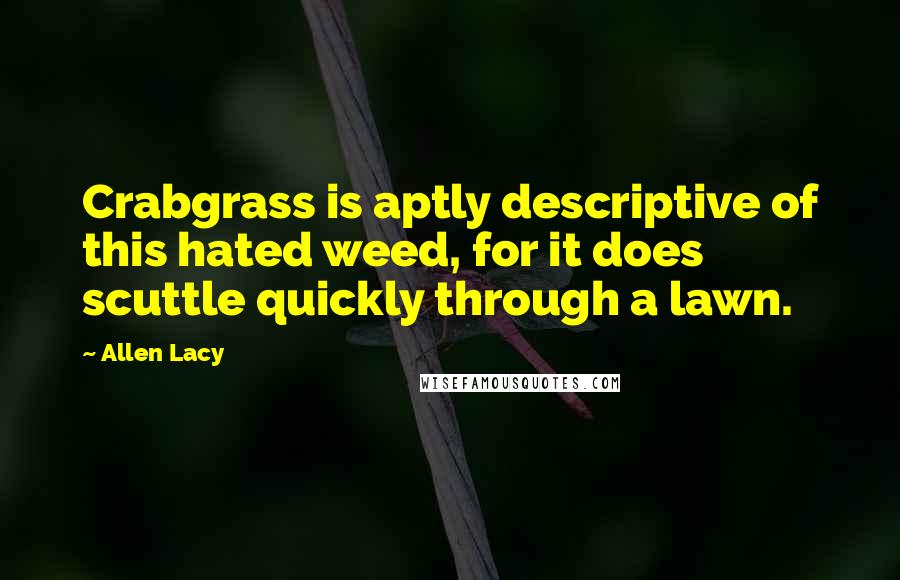 Allen Lacy Quotes: Crabgrass is aptly descriptive of this hated weed, for it does scuttle quickly through a lawn.