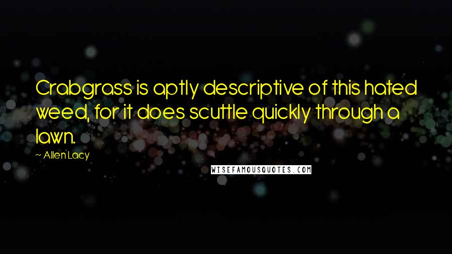 Allen Lacy Quotes: Crabgrass is aptly descriptive of this hated weed, for it does scuttle quickly through a lawn.