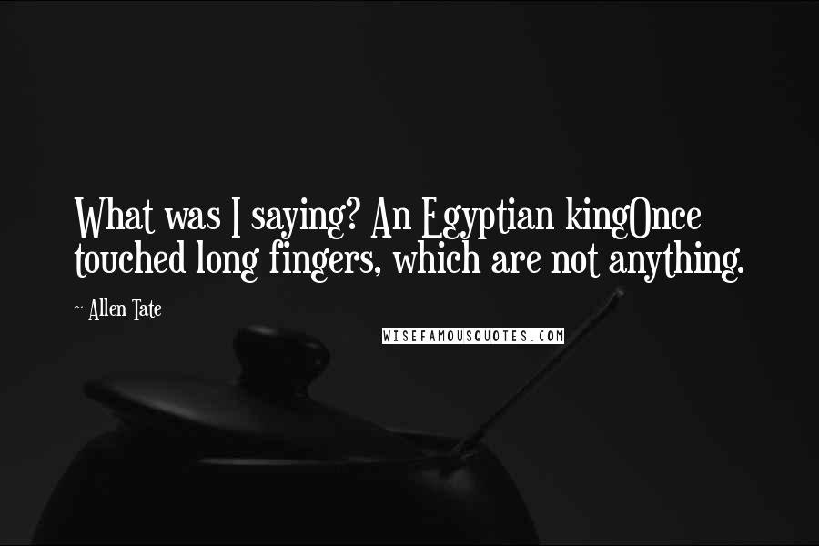 Allen Tate Quotes: What was I saying? An Egyptian kingOnce touched long fingers, which are not anything.