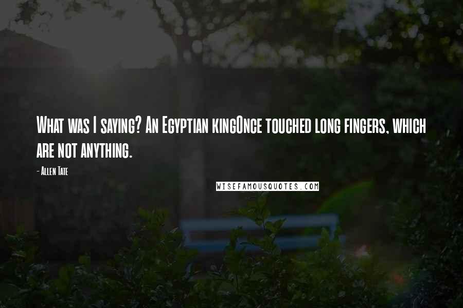 Allen Tate Quotes: What was I saying? An Egyptian kingOnce touched long fingers, which are not anything.