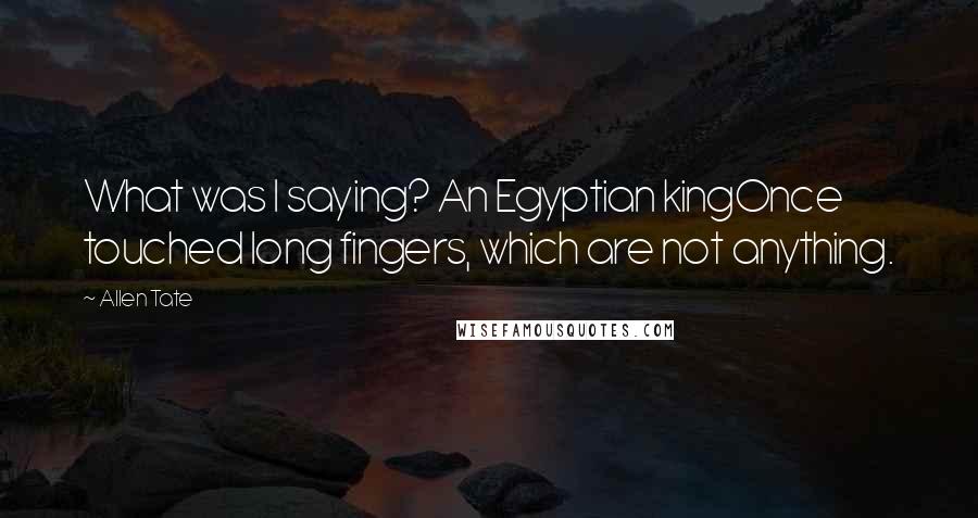 Allen Tate Quotes: What was I saying? An Egyptian kingOnce touched long fingers, which are not anything.