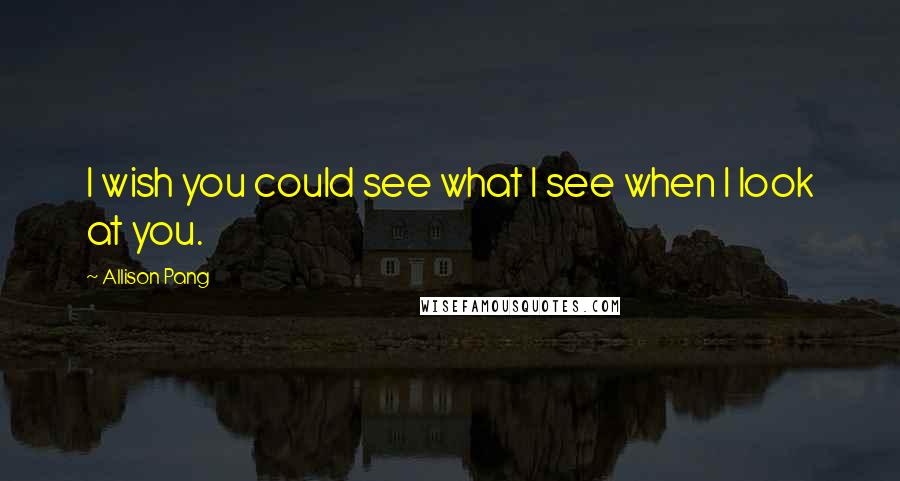 Allison Pang Quotes: I wish you could see what I see when I look at you.