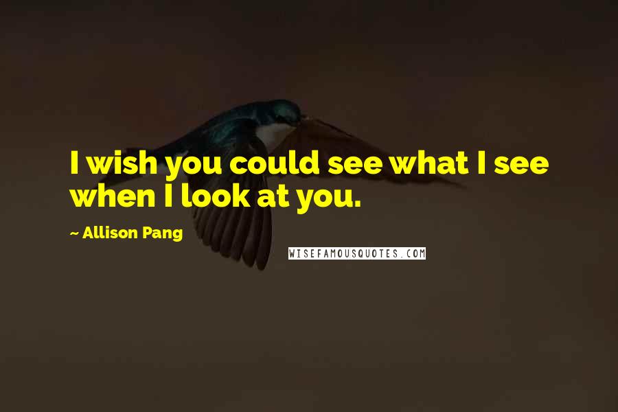 Allison Pang Quotes: I wish you could see what I see when I look at you.