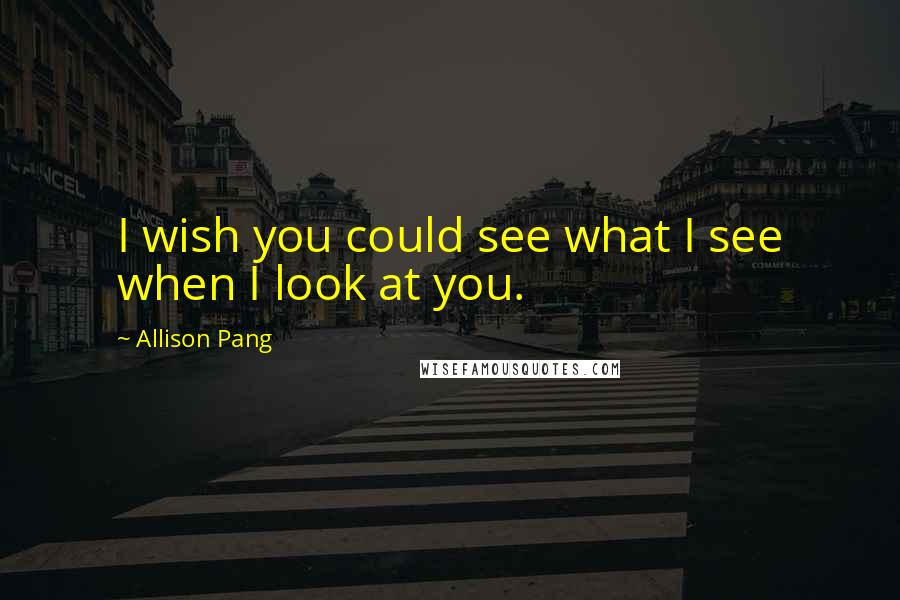 Allison Pang Quotes: I wish you could see what I see when I look at you.